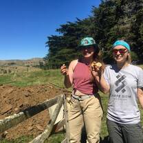 Organic Farming