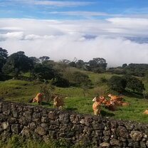 Mountains of Cartago, Costa Rica This picture was taken in Cartago in the mountains as we travelled to Limón for a rafting trip.