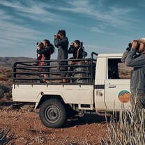 Wildlife counting and monitoring