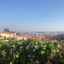 View atop the Břevnov Monastery, Prague CZ