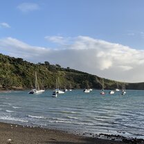 Waiheke Island shore Waiheke Island shore