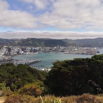 Wellington from Mt Vic