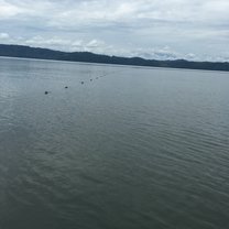 The net buoys in the water