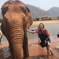 Went to an elephant sanctuary!