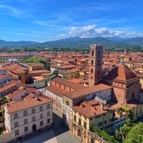 Incredible view from a tower in Lucca, Italy where I lived
