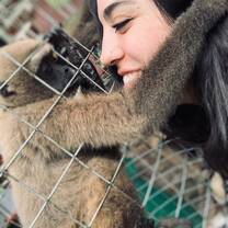 Amor