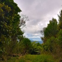 View across the harbor from Wellington on a hike near Mt McCarrow