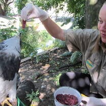 Volunteer abroad in Argentina