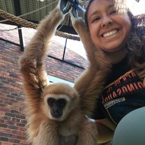 Joshua the Gibbon