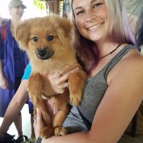 Puppy love at the Elephant Sanctuary 