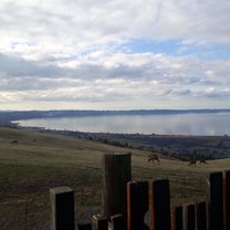 Rotorua, New Zealand 