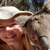 I loved getting to know the two koalas in the Wildlife Park. They did sleep a lot, but when they were awake they had big personalities. 