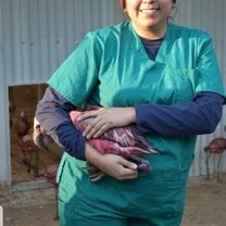 Wrangling Flamingos for meds