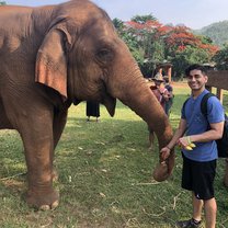 Feeding an old elephant 