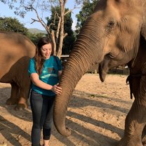 We got to participate in a diet study where we were assigned an elephant who we got to follow around, feed, and collect fecal and urine samples from. 