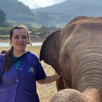 We were given the opportunity to go with the elephant vet who showed us hands on procedures. 