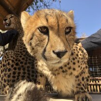 Oliver  Ambassador training