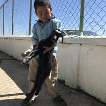 Abran and His Goat