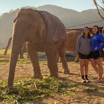 Loop gave me the opportunity to make new friends, human and elephant! 