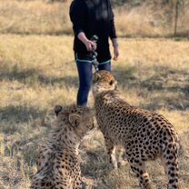 Playing with the Cheetah!