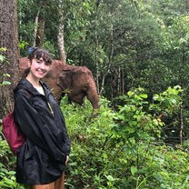 My first elephant hike entailed a strenuous journey but an amazing reward !