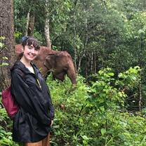 My first elephant hike entailed a strenuous journey but an amazing reward !