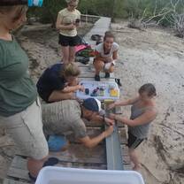 The station for collecting data of the shark pup. 
