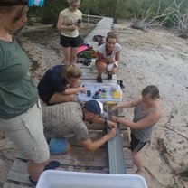 The station for collecting data of the shark pup. 
