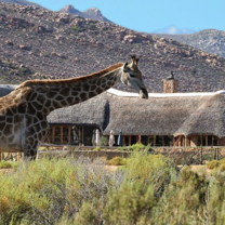 Hospitality and Tourism Internship with SAVE Volunteering