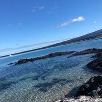 This photo was taken on Fernandina, an island in the Galápagos.