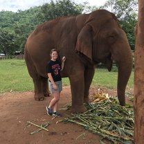 One of the many elephants housed at Elephant Nature Park in Chiang Mai