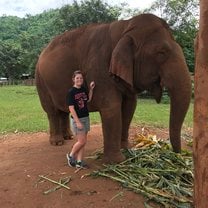 One of the many elephants housed at Elephant Nature Park in Chiang Mai