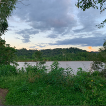 Beautiful views in the jungle 