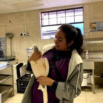 learning to restrain a cockatoo for an examination