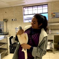 learning to restrain a cockatoo for an examination