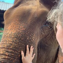 Beautiful close encounter with an elephant 