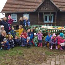 The Learning Tree International Kindergarten Teaching Job