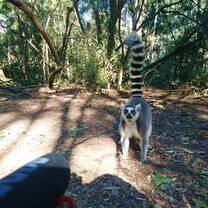 Get close to curious subjects
