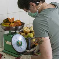 Animal enrichment activities