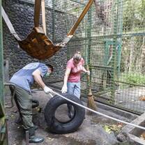 Shadow the animal keeper - cleaning enclosures
