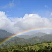 Rainbow 