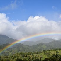 Rainbow 