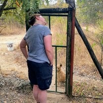 Checking-in on Millie the Eagle Owl with Tinkerbelle the dog patiently waiting outside.