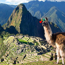 Volunteer in Cusco for a life-changing experience