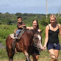 Children with special needs get horse riding 
