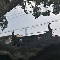 shanghai trip
