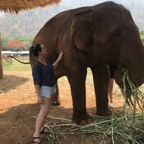 On my trip to Thailand with TEAN we went to an elephant sanctuary where they cared for rescued elephants.