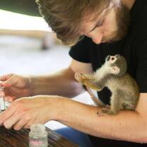 Volunteering at an animal rescue center