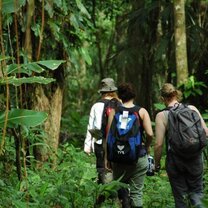 GVI: Volunteer in Costa Rica