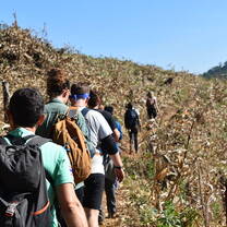 GVI: Internships in Thailand